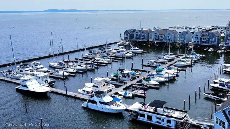 Log Pond Marina