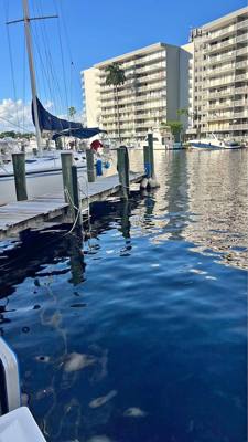 Dock Slip Available up to 60” FT Miami River