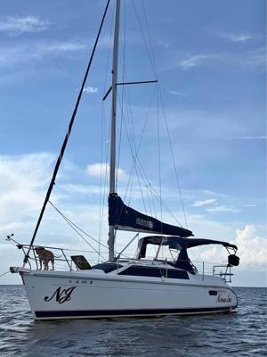 1996 Hunter 29.5