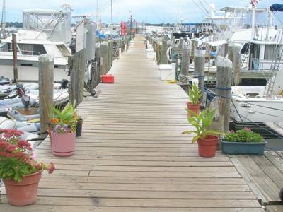 Burr's Marina