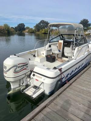 Bayliner Trophy 21 Foot