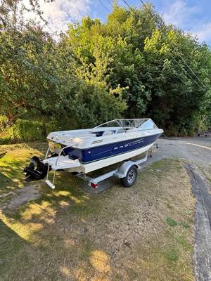 2010 Bayliner Discovery 195