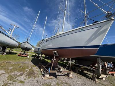 32' Catalina 320
