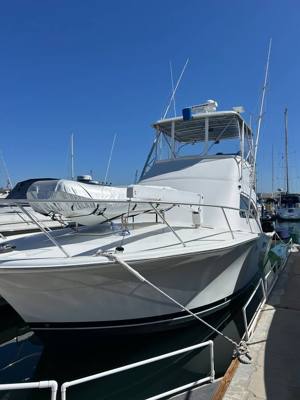 2000 luhrs tournament 360