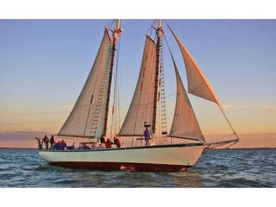 1992 Other Treworgy 65