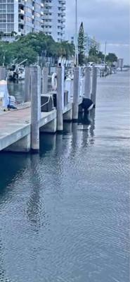 Dock Slip Available in Miami River up to 80” FT