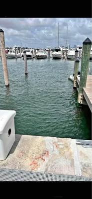 Dock Slip in Miami River for Boat 30” up to 60” Feet Available !