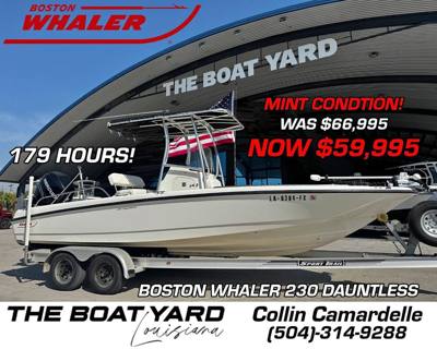 2011 Boston Whaler 230 Dauntless