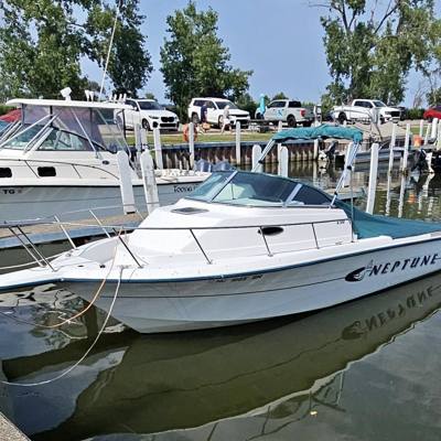 1998 Sunbird Neptune