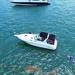 1998 Searay Sundancer 300
