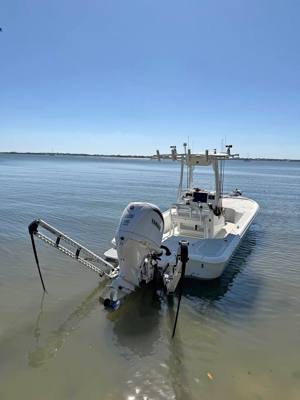 24 yellowfin