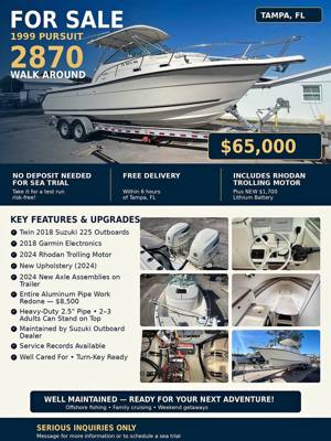 2018 Pursuit 2870 WALK AROUND