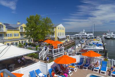 Saybrook Point Marina