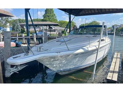 1993 Sea Ray Sundancer 330
