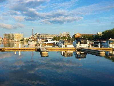 The Yards Marina