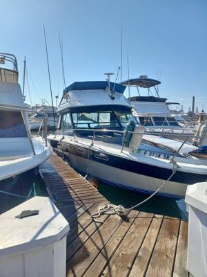 1979 Sea Ray Fly Bridge will trade