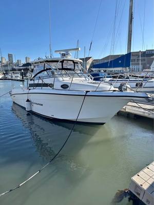 2006 Seaswirl Striper 2901 WA with twin diesel Yanmars