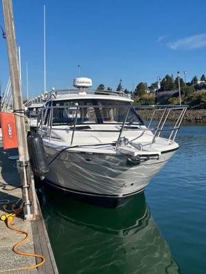 Cutwater C248 Coupe 2025