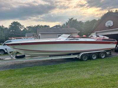 1989 scarab panther