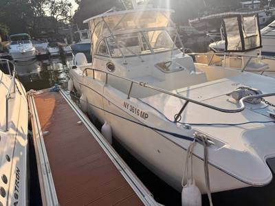 1999 World cat 266sc