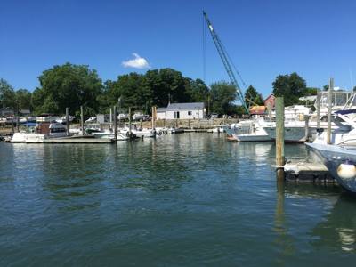 Brown's Marina