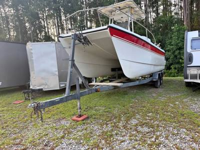 Power Catamaran center console Glacier Bay 220