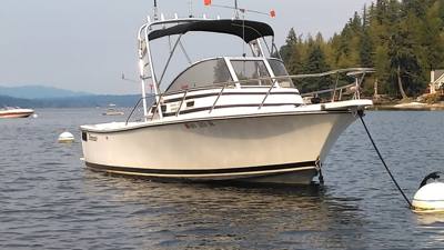 1993 Shamrock Warrior 220 walkaround