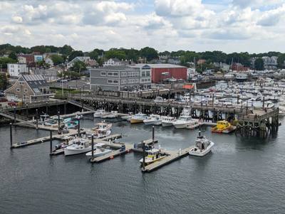 Glover Wharf Municipal Marina